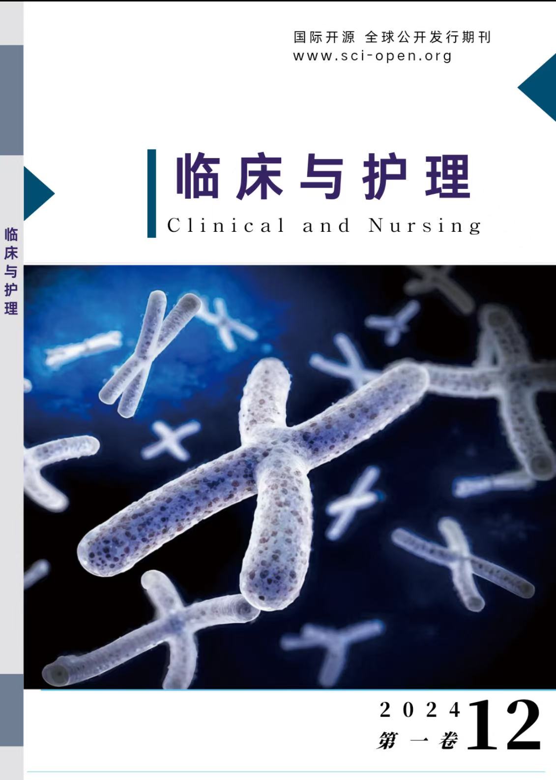 					查看 卷 1 编号 1 (2024): 临床与护理（Clinical & Nursing ，CN）
				